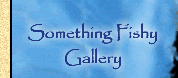 Something Fishy Gallery