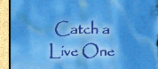 Catch a Live One